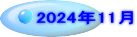 2024N11